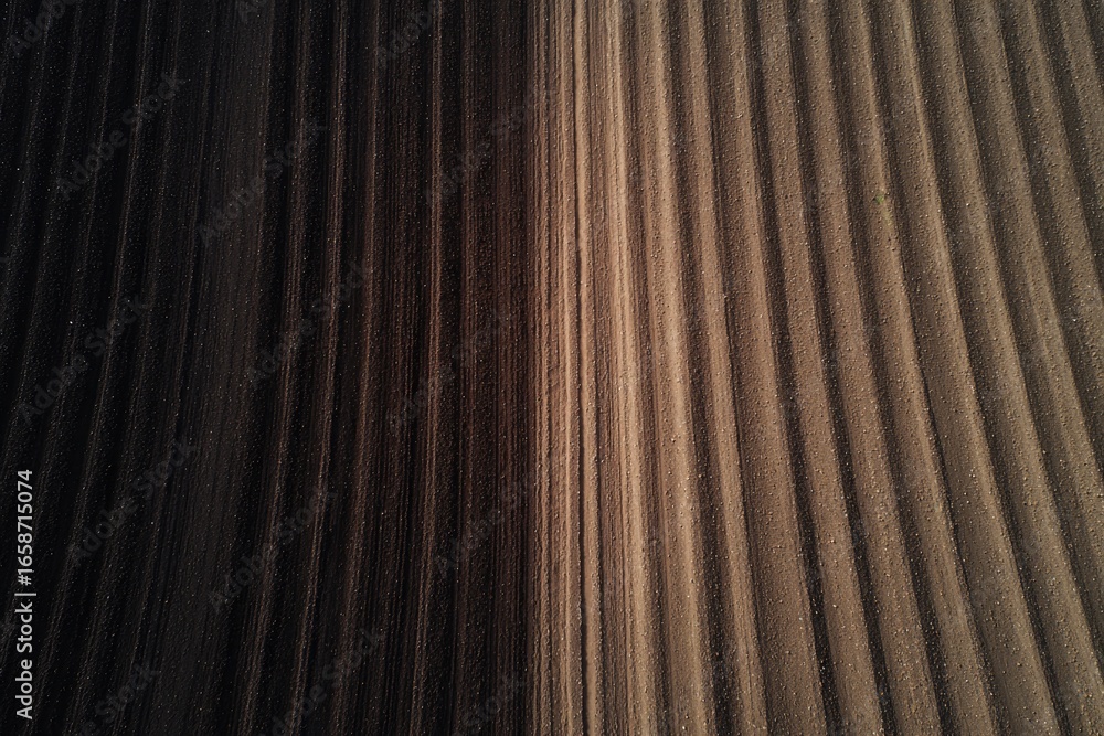Poster textured patterns create dynamic interplay of light and shadow,