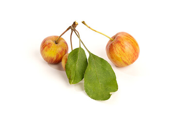 Red Dwarf Apple Isolated On White Background