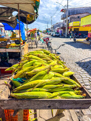 Fresh Corn at Street Market in Brazil