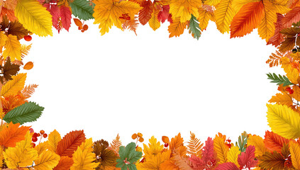 Autumn leaves frame a black rectangle. Colorful, vibrant autumn leaves border a large black space. Various shades of red, orange, yellow, and green leaves create a fall-themed frame