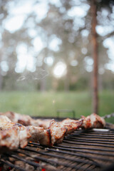 Juicy meat skewers grilling on barbecue over hot coals with smoke rising, outdoor cooking scene in nature with blurred forest background