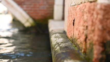 Venice. Water lapping against an ancient brick wall beside a canal in a historic city during a sunny afternoon.