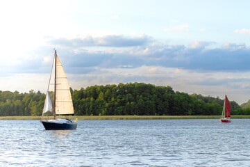 Sailboats glide gracefully across a tranquil lake, surrounded by lush greenery and a serene sky,...