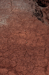 A vertical, detailed macro shot of dry, cracked red earth with a network of fine lines and a few small rocks scattered across the surface.