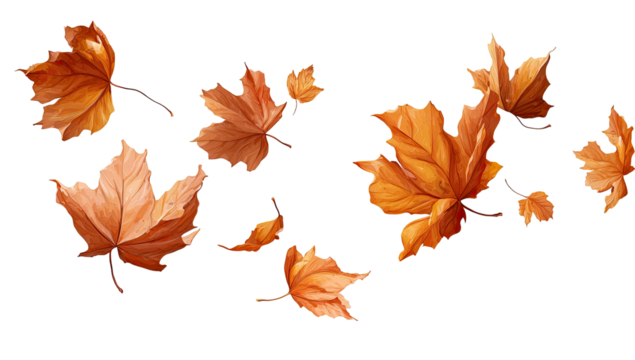 Autumn leaves, orange and brown, falling, graphic design