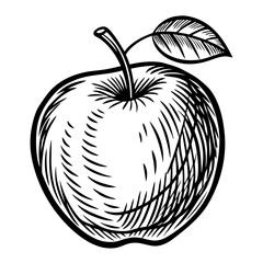 Bold sketch of a single fresh apple with a leaf and stem, rendered in a classic woodcut style, perfect for healthy eating and organic branding