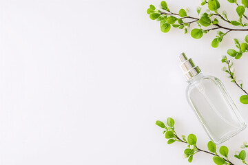 Green branch and glass spray bottle on a white background. Spring cleaning concept