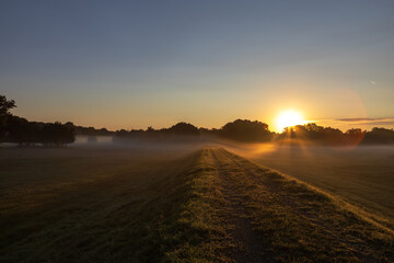 Sunrise in the landscape. Fog with sun in the Pohansko area Břeclav Europe