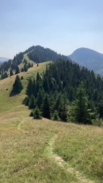 View from Javorina, Velka Fatra, Slovakia. Beautfiul landscape and nature summer scenery of Slovak mountains, hills and meadow. Sunny day and clear blue sky. Panoramatic panning vertical video.	
