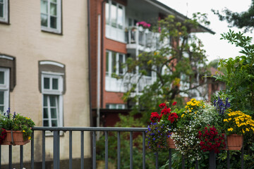 Romantic street view in the German town of Preetz with flowers in soft focus, leading to а red brick tower and charming old houses. А picturesque blend of nature and historic architecture