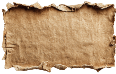 Ripped cardboard rectangle (1)