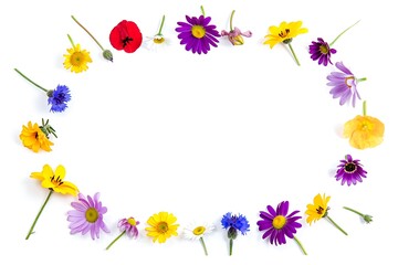 Obraz premium Vibrant Wildflower Frame: Colorful Spring Floral Border, White Background, Blank Space, Floral Design, Summer Mood.