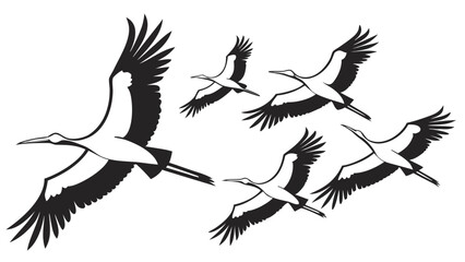 A flock of storks in flight with wings spread wide against a white background