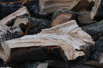 A pile of chopped firewood in the forest. Close-up.
