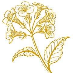 seamless pattern with calceolaria integrifolia yellow