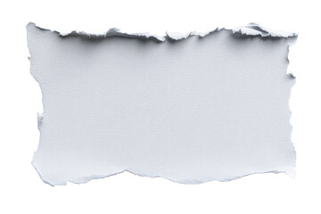 Obraz premium Ripped white paper rectangle