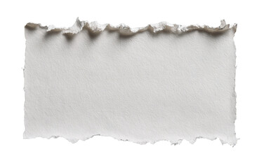 A torn piece of white paper