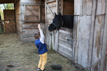 Little boy in a vest and yellow pants standing in a stable, reaching out to a black horse peeking from the stall. Touching farm childhood moment.