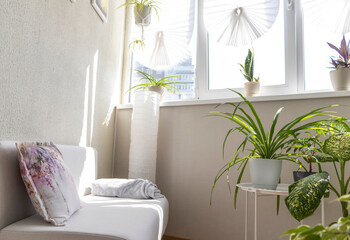 Cozy balcony designed in light tones with house pot plants. Interior