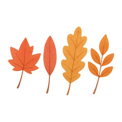 Fototapeta premium PNG Colorful autumn leaves illustration.