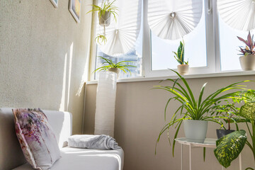 Cozy balcony designed in light tones with house pot plants. Interior