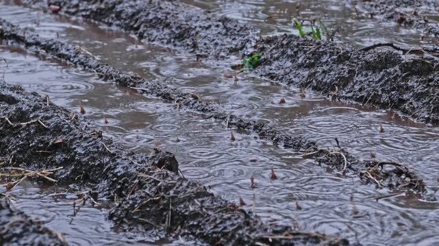 Muddy Ground at Construction Site with Heavy Vehicle Deep Tyre Tracks Filled with Dirty Rain Water during Rainfall