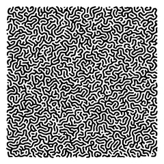 Complex black and white pattern with intricate lines creating a visually dense and abstract design element