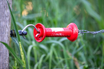 Red electricity insulation connector on a electrified barbed wire in Longlier Neufchateau, Belgium