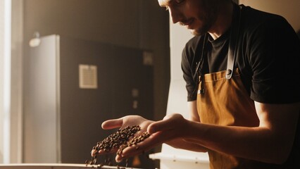 Bearded Caucasian man wearing brown apron holding roasted coffee beans in both hands. Observing...
