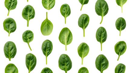 Fresh spinach leaves pattern isolated on transparent background