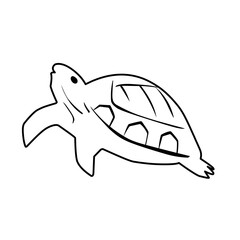 turtle outline sketch