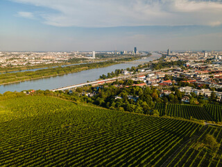An aerial panorama of Vienna Nussdorf with vineyards rows in summer