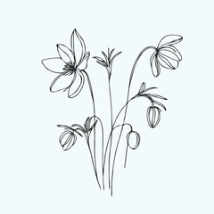 Plants in sketch style illustration, herbs Set for cards, invitations, banners design. Line art flowers and Buds Drawing Outline stems, leaves on white background. Elegant Floral elements Hand Drawn