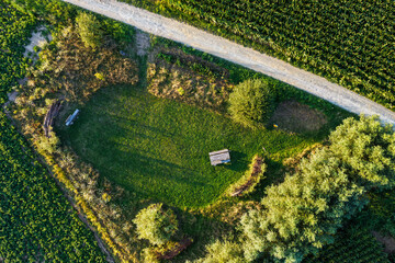 Green Meadow and Trees Aerial Drone Landscape