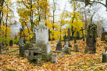 Yellow autumn leaves covering gravestones of Bernardine cemetery, one of the three oldest graveyards in Vilnius, Lithuania.