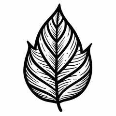 Elegant hand-drawn black and white leaf design, perfect for natural themes, branding, and organic product visuals, adding a touch of sophisticated botanical artistry to your projects.