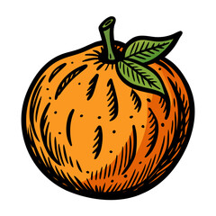 Vibrant orange fruit illustration with green leaves, perfect for healthy eating, food blogs, and fresh juice branding, conveying freshness and organic appeal