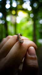 Red Back Salamander on Hand
