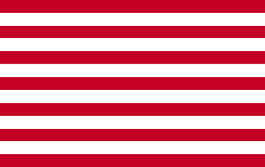 Sons of Liberty flag