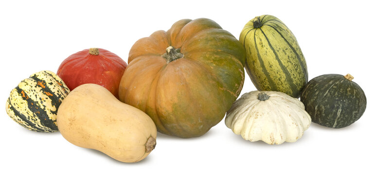 Diff&eacute;rentes vari&eacute;t&eacute;s de courges &agrave; consommer