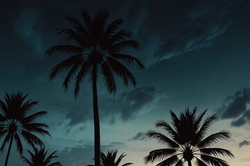 palm tree silhouette