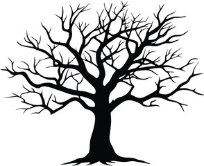 Dead Tree with Bare Branches Silhouette