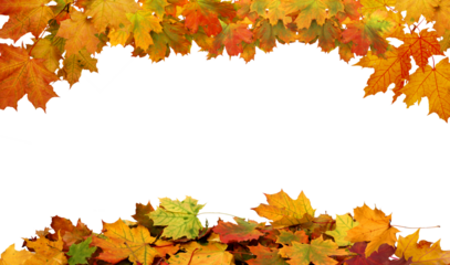 Autumn maple leaves border.  Vibrant fall colors autumn  foliage cut outs
