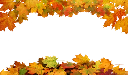 Fototapete Wasserfälle Autumn maple leaves border.  Vibrant fall colors autumn  foliage cut outs   © Lilya