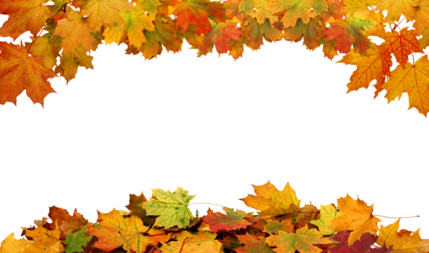 Autumn maple leaves border. Vibrant fall colors autumn foliage cut outs