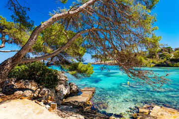 Fototapete bei efototapeten.de bestellen   