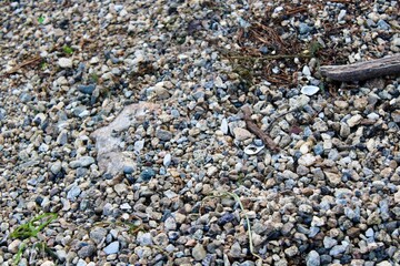 Natural Gravel Texture With Mixed Stones Showcases Earth's Diverse Minerals and Unique Formations, Perfect for Backgrounds and Design Elements