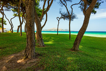 Fototapete bei efototapeten.de bestellen   