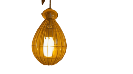 Warm Rustic Hanging Cage Style Light Bulb in Dark Interior