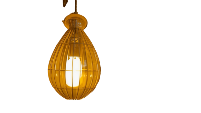 Warm Rustic Hanging Cage Style Light Bulb in Dark Interior
